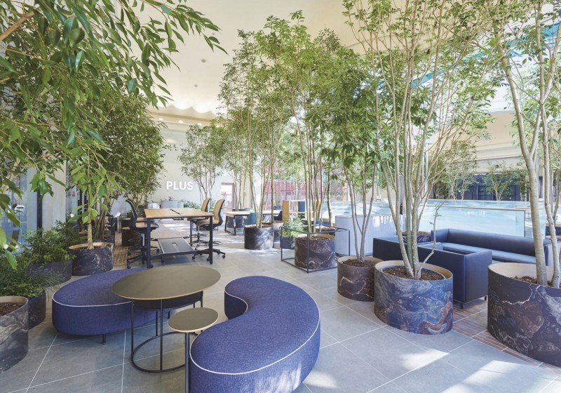 S108_オフィス緑化_CONCEPT1_L127_N03_img