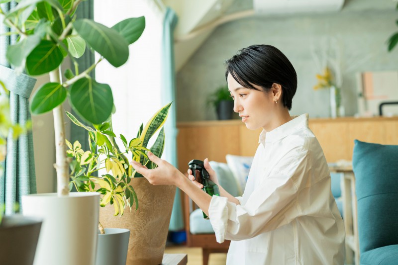 S108_オフィス緑化_CONCEPT1_L127_N05_img