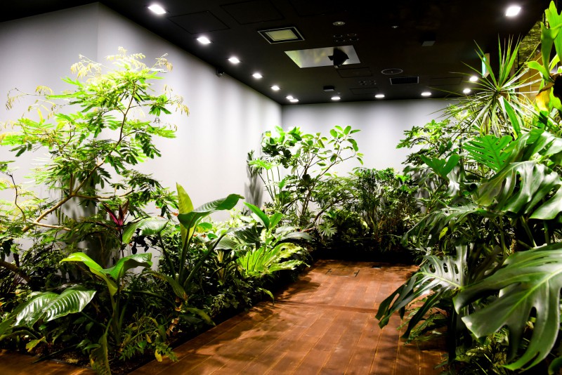 S109_オフィス緑化_CONCEPT2_L108_N02_img