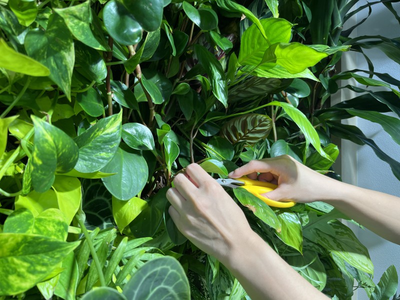 S109_オフィス緑化_CONCEPT2_L108_N03_img