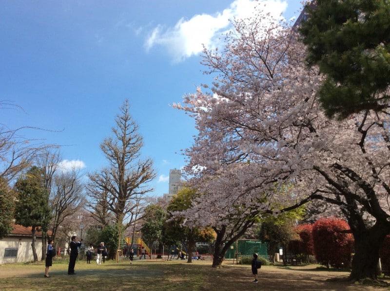 高輪地区 公園・児童遊園　管理運営01