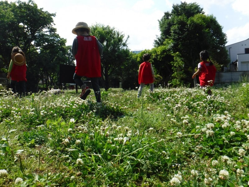 高輪地区 公園・児童遊園　管理運営02