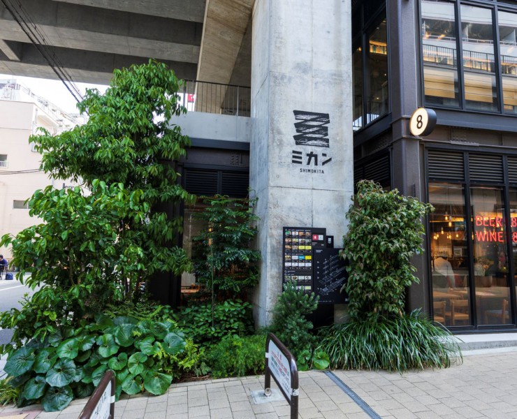 ミカン下北風景-4