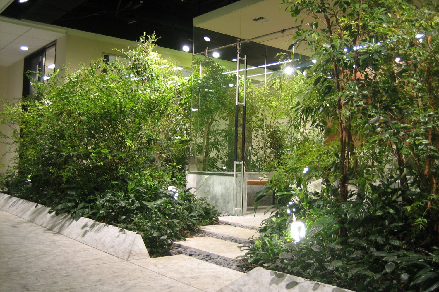 オフィス植栽風景