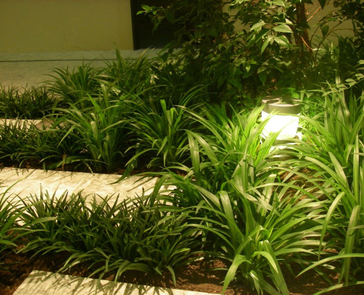 オフィス植栽風景