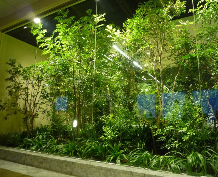 オフィス植栽風景
