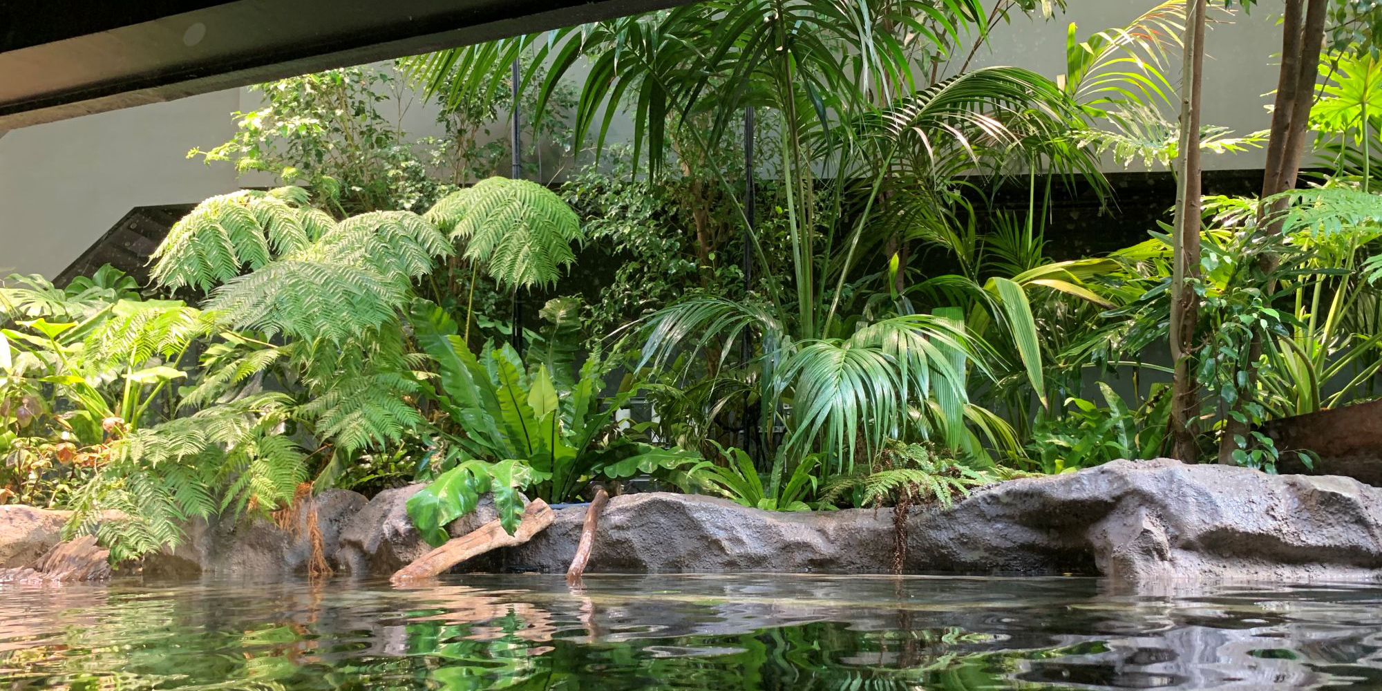 カワスイ　川崎水族館