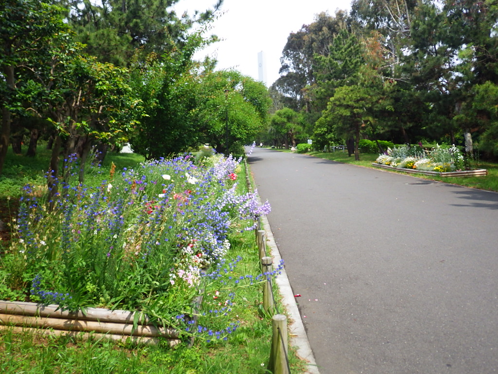 夢の島公園