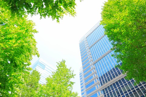 東京緑化事業のコンペにて、事業者として選定されました