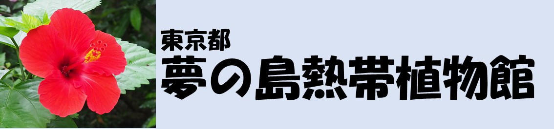 バナー　夢の島